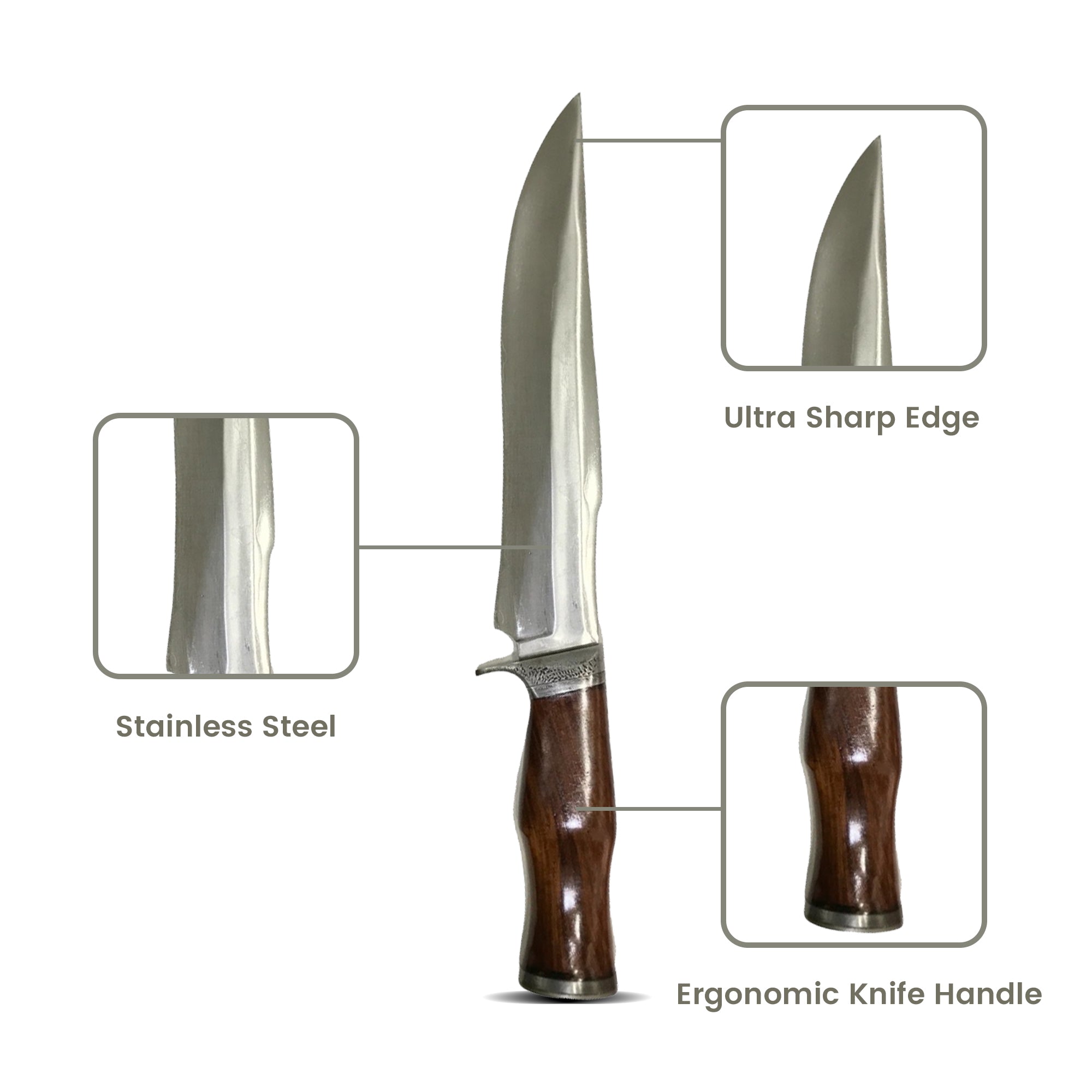 Survival KnifeKnifeHunting knivehunting knifeHunting & Survival KnivesDamascus KnivesDamascus KnifeChef KnivesChef Knife